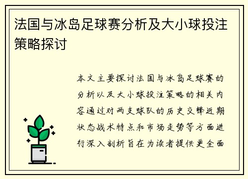 法国与冰岛足球赛分析及大小球投注策略探讨